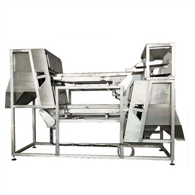 Garlic Color Sorter